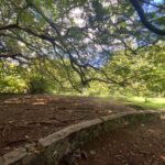 grounds
