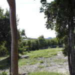 land